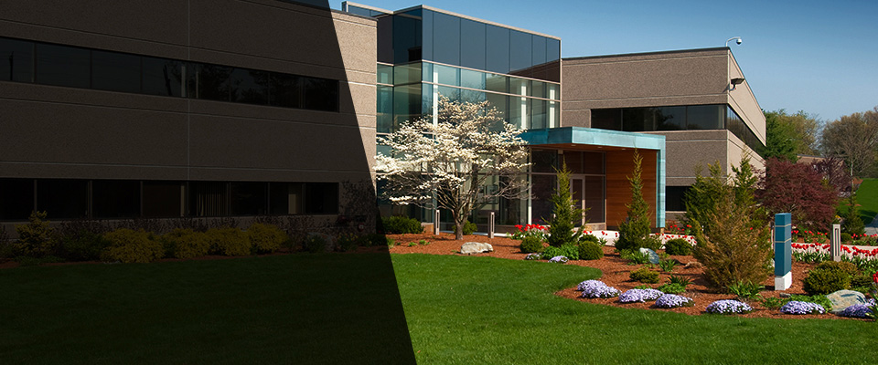 La Canada Flintridge Landscapers