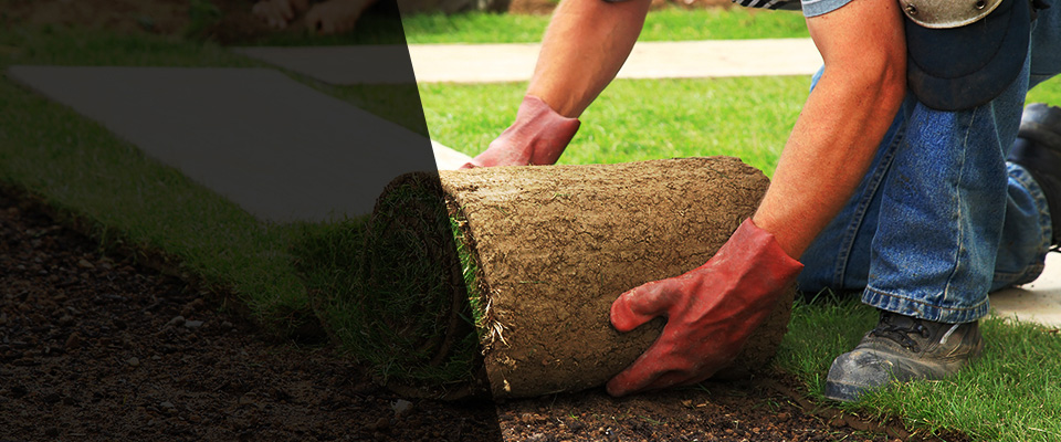 La Canada Flintridge Landscapers